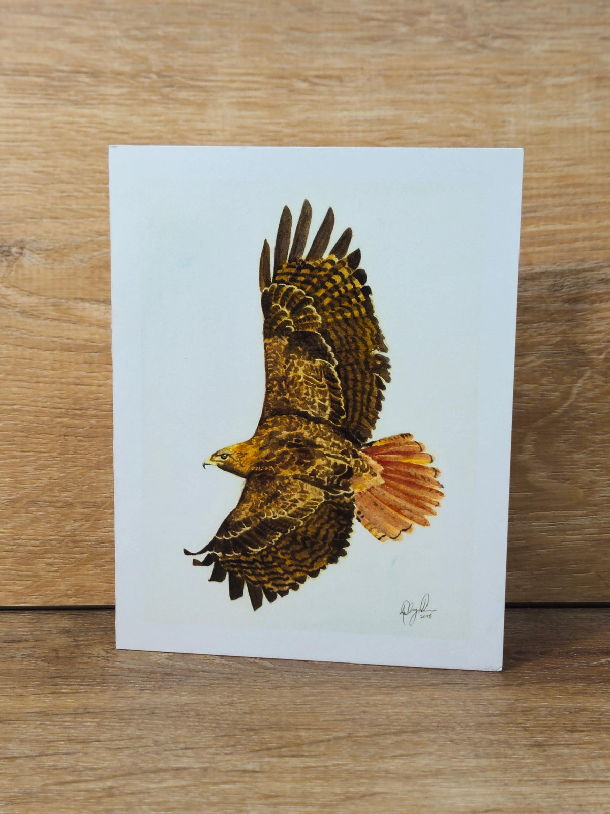 Red Tailed Hawk Greeting Card
