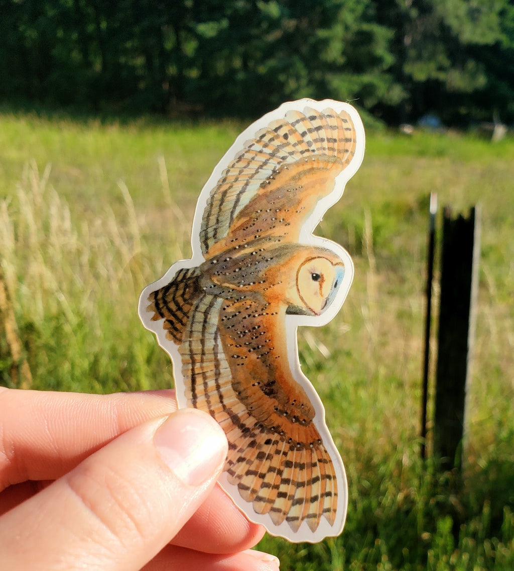 Flying Barn Owl Vinyl Sticker by Ashley Nelson