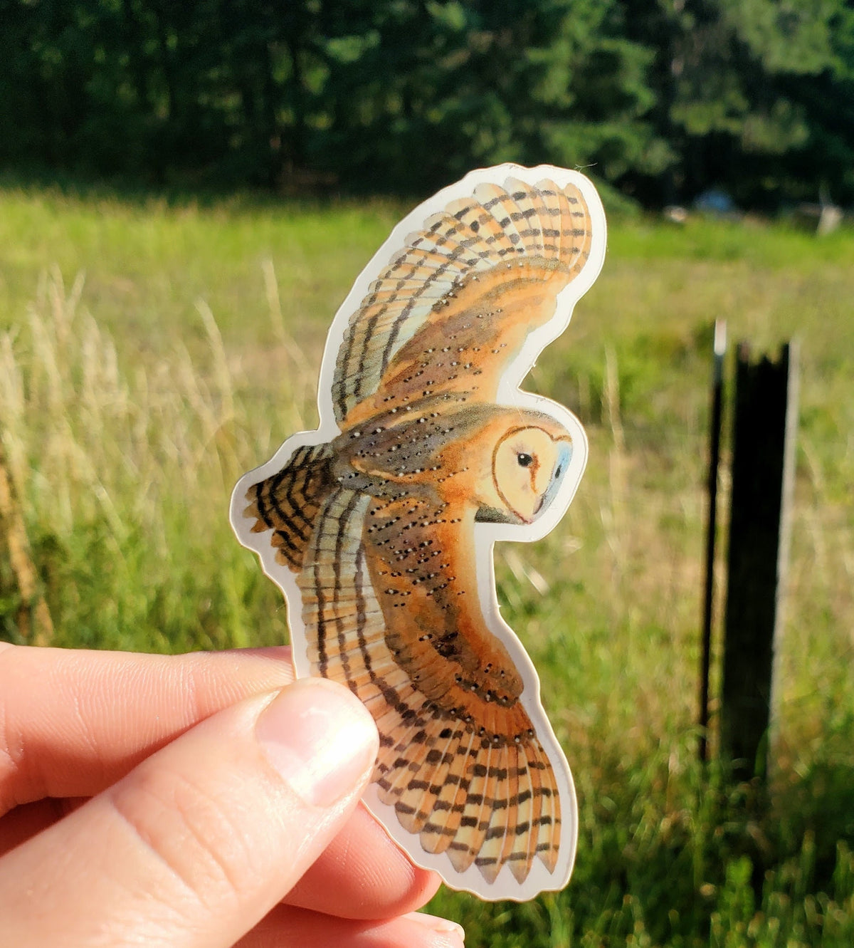 Flying Barn Owl Vinyl Sticker by Ashley Nelson
