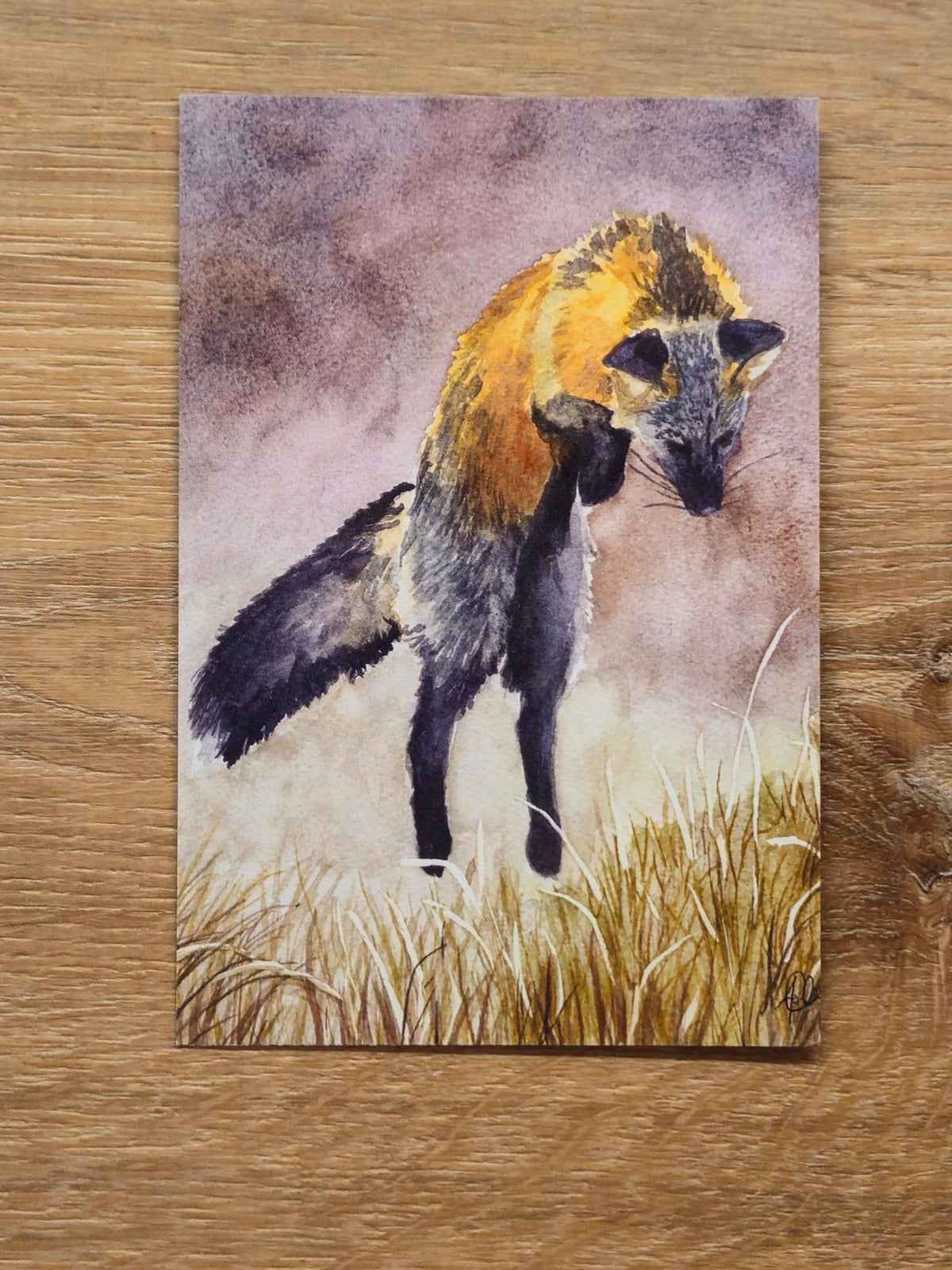 Fox Postcard Pack, fine art Postcards by Ashley Nelson
