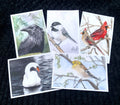 Watercolor Birds Postcard Pack, fine art Postcards by Ashley Nelson