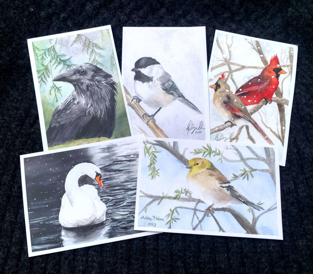 Watercolor Birds Postcard Pack, fine art Postcards by Ashley Nelson