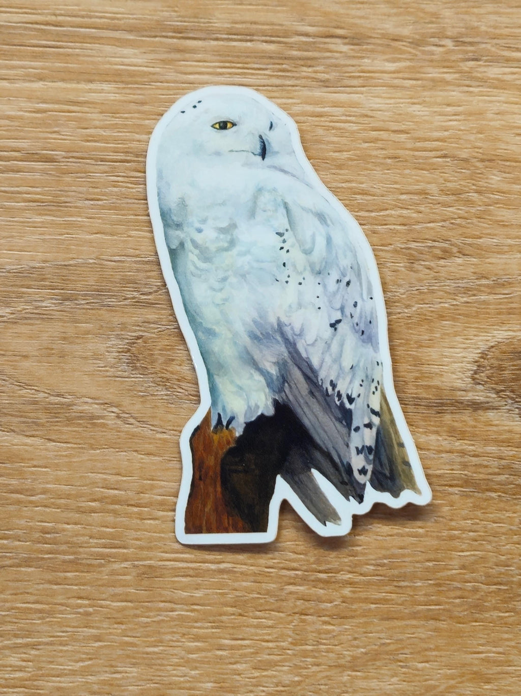 Snowy Owl Vinyl Sticker by Ashley Nelson