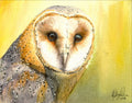 Barn Owl Fine Art Watercolor Print by Ashley Nelson