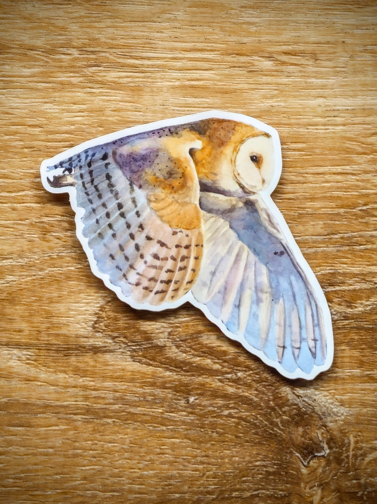 Barn Owl Sticker