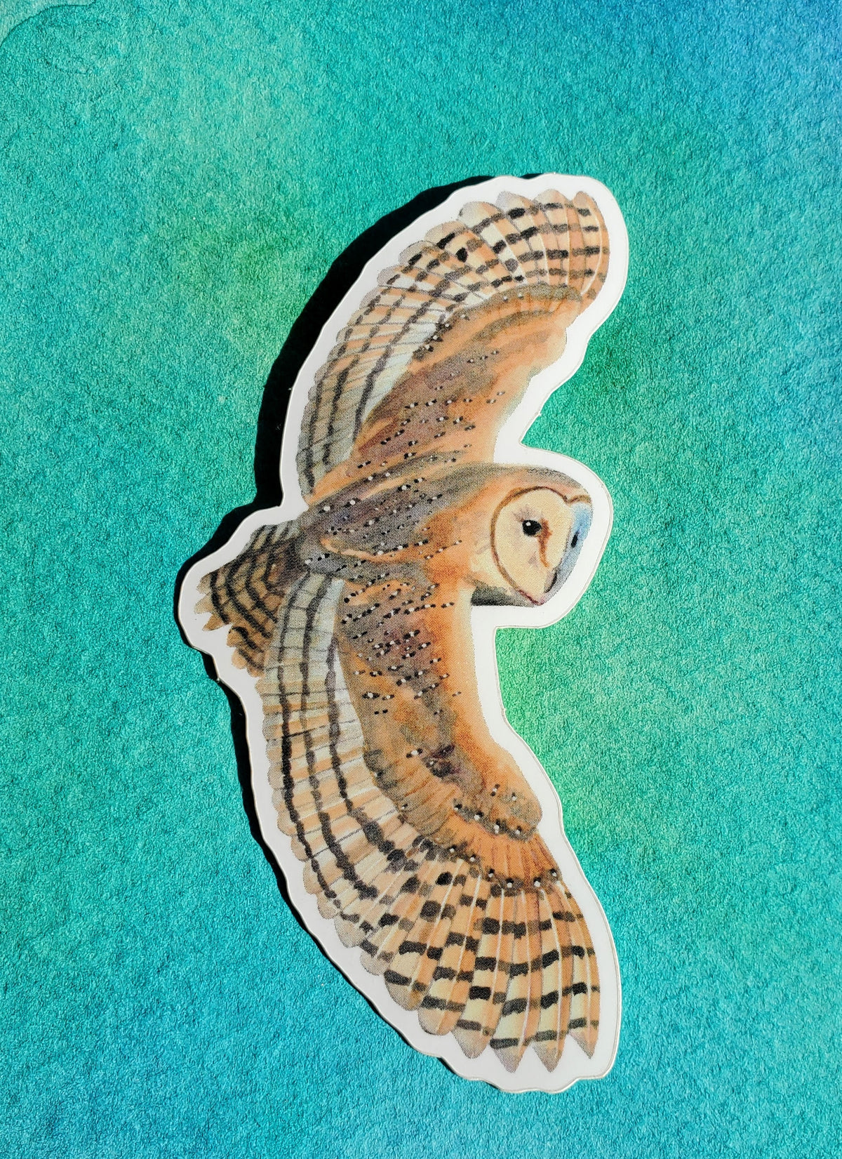Flying Barn Owl Vinyl Sticker by Ashley Nelson