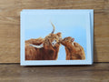 Highland Cow and Calf Greeting Card