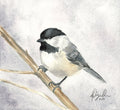 Black Capped Chickadee Fine Art Watercolor Print by Ashley Nelson