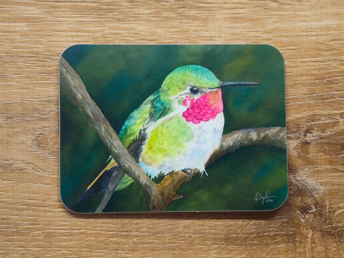 Hummingbird Vinyl Sticker by Ashley Nelson
