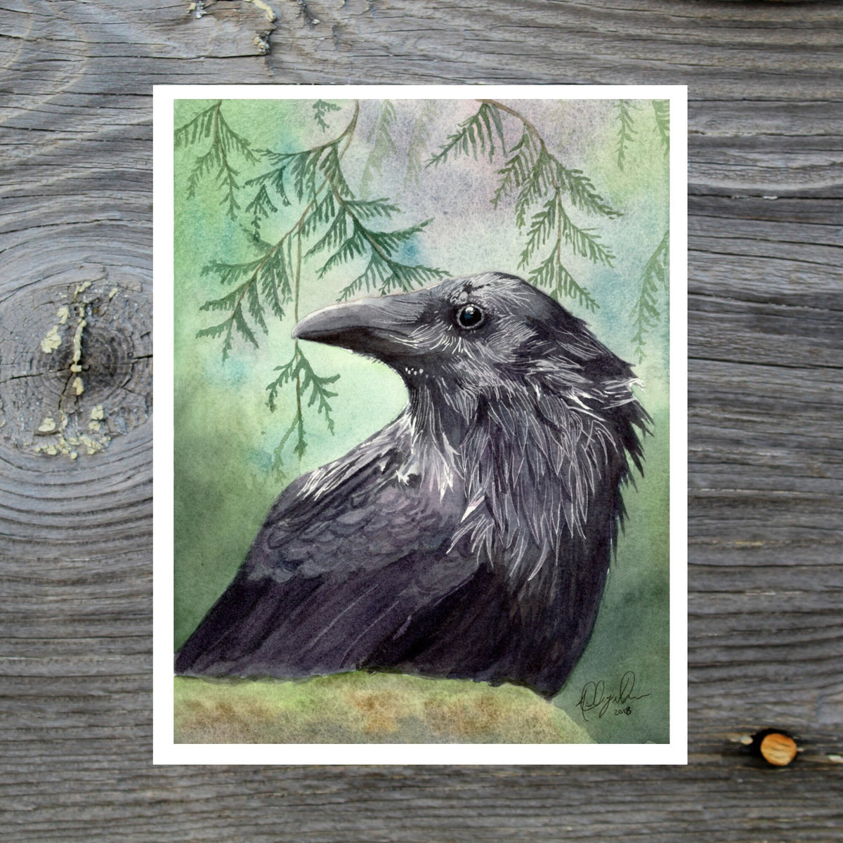 Raven Fine Art Watercolor Print by Ashley Nelson