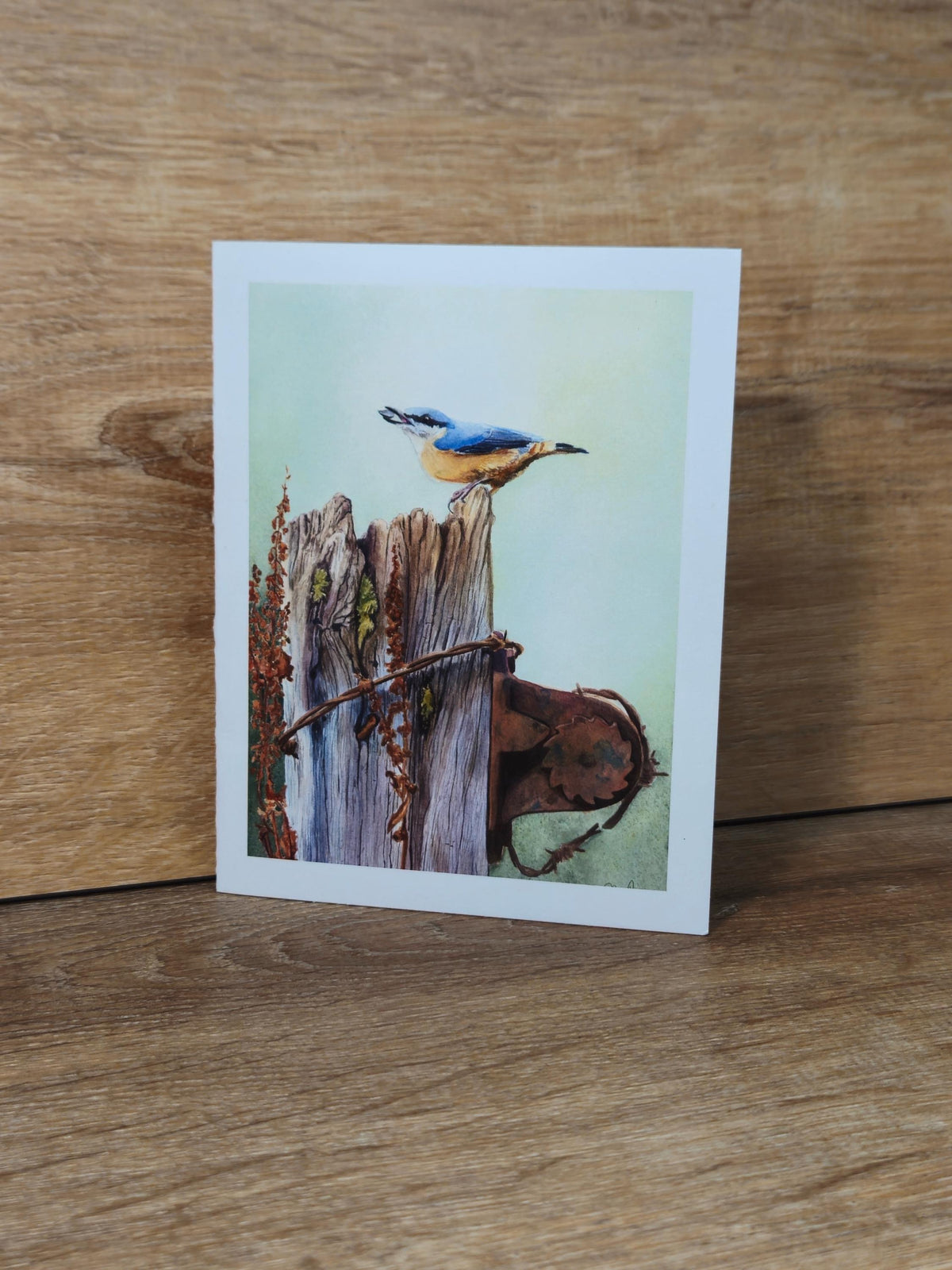 Nuthatch Greeting Card