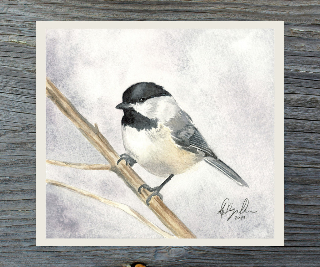 Black Capped Chickadee Fine Art Watercolor Print by Ashley Nelson