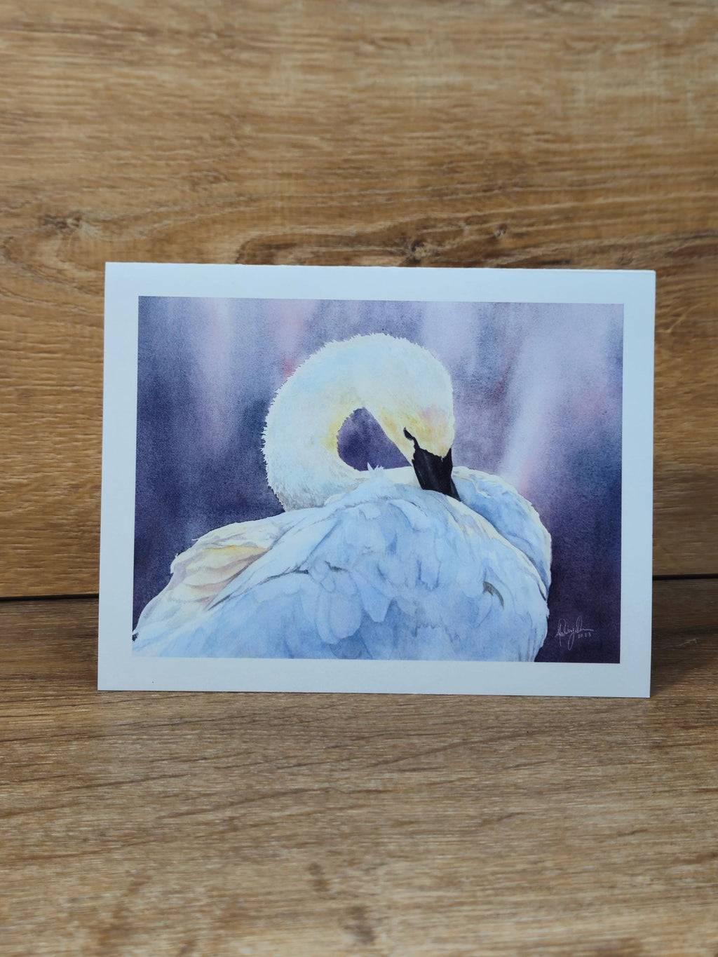 Swan Greeting Card