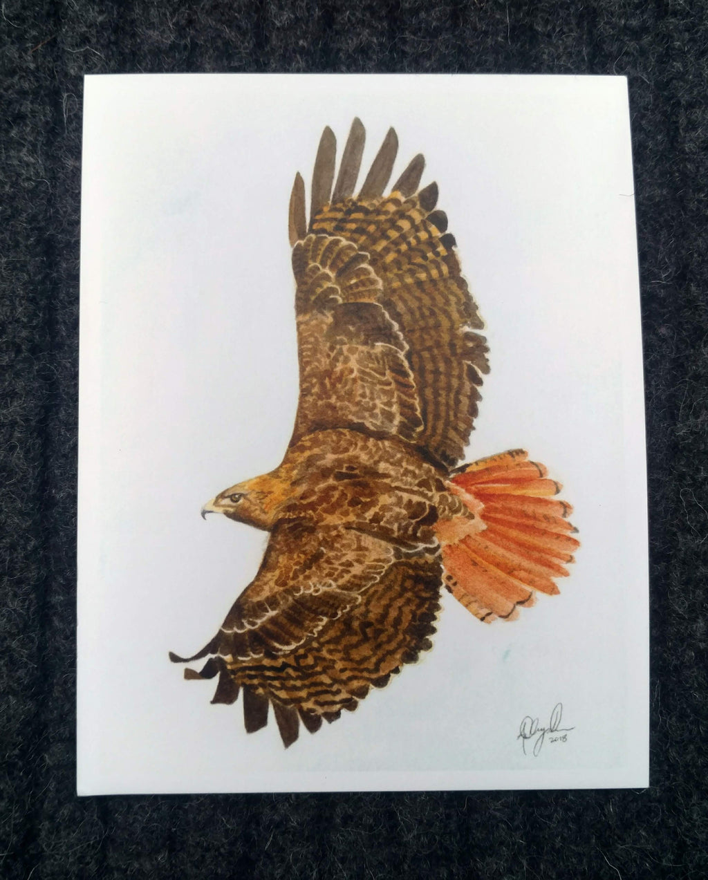 Birds of Prey Postcard Pack, fine art Postcards by Ashley Nelson