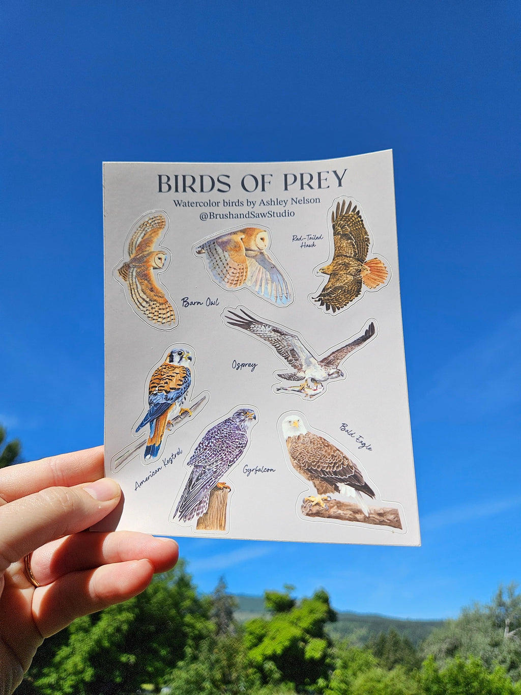 Birds of Prey Vinyl Sticker Sheet by Ashley Nelson