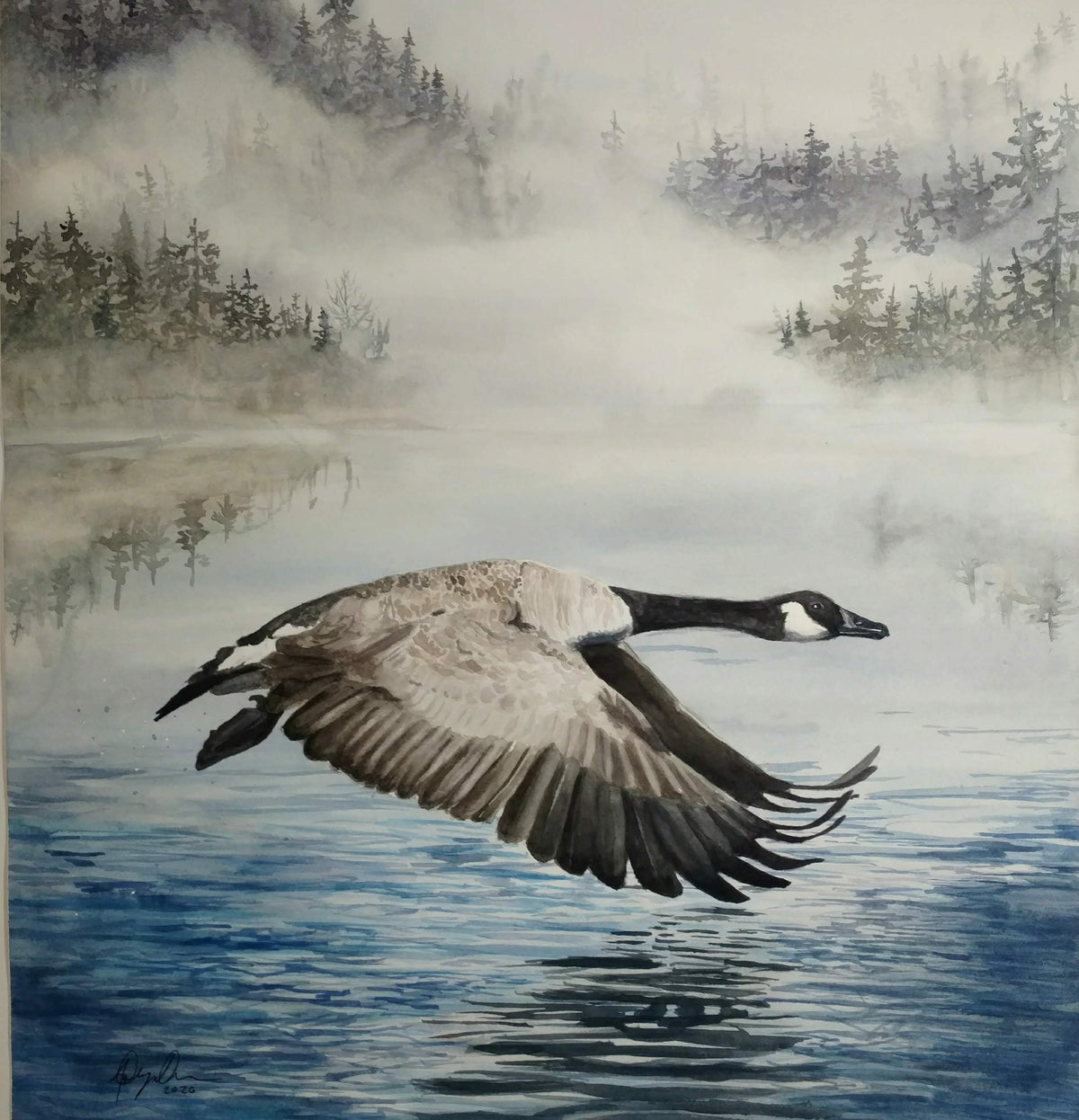 Canada Goose Flying Fine Art Watercolor Print by Ashley Nelson