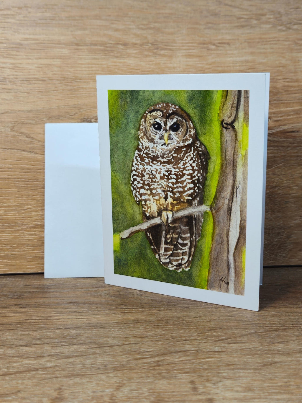 Northern Spotted Owl Greeting Card