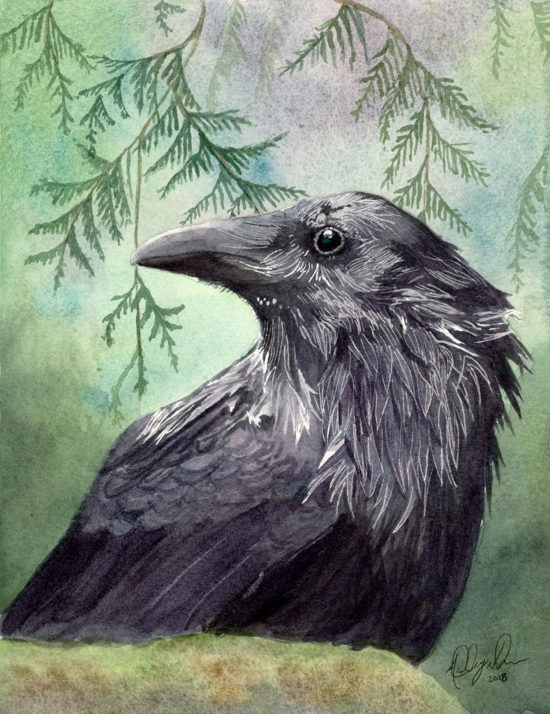 Raven Fine Art Watercolor Print by Ashley Nelson