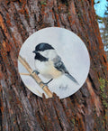 Chickadee Vinyl Sticker by Ashley Nelson