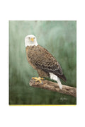 Bald Eagle Original Watercolor