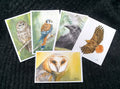 Birds of Prey Postcard Pack, fine art Postcards by Ashley Nelson
