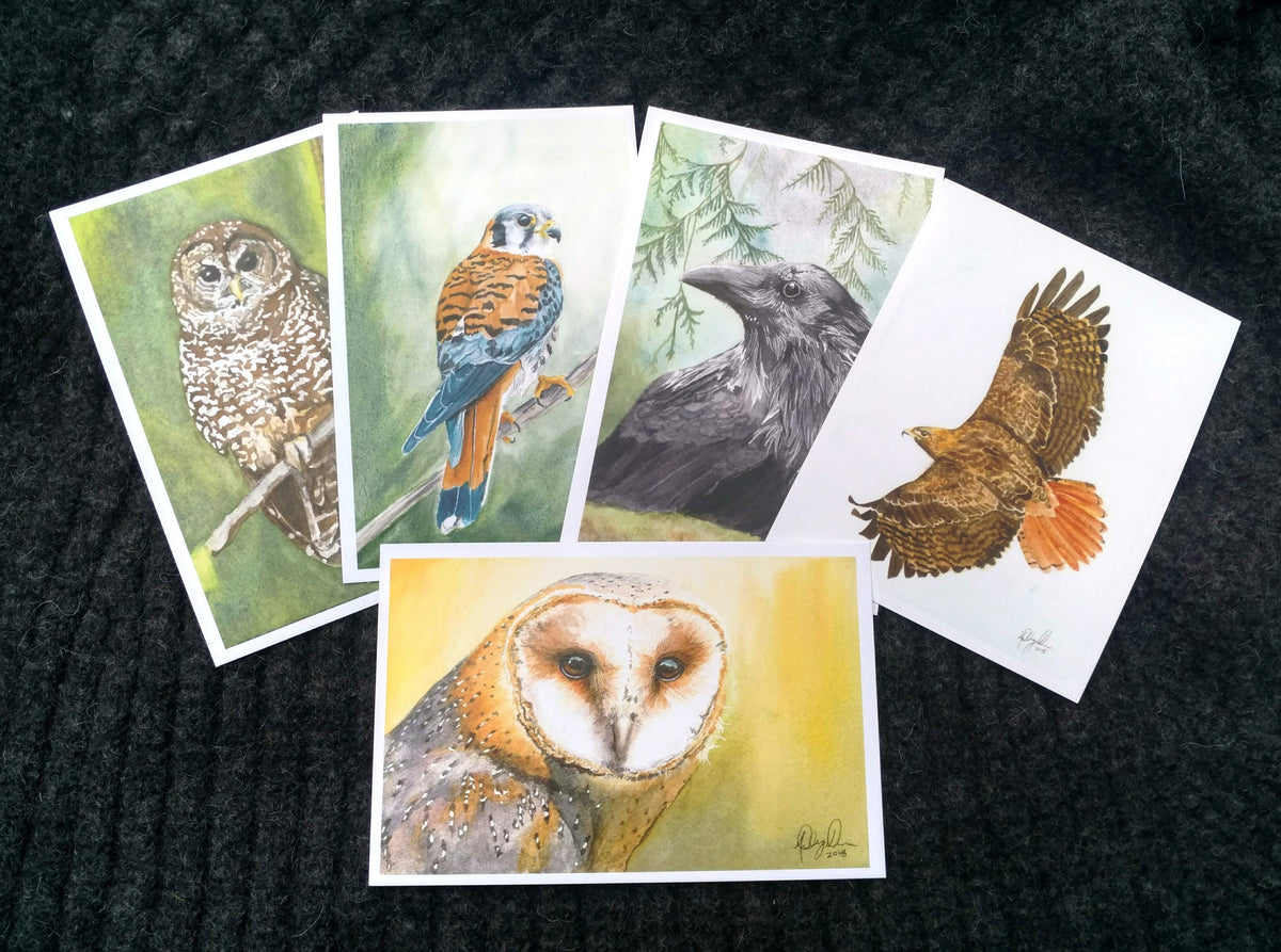 Birds of Prey Postcard Pack, fine art Postcards by Ashley Nelson