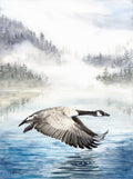 Canada Goose Flying Fine Art Watercolor Print by Ashley Nelson