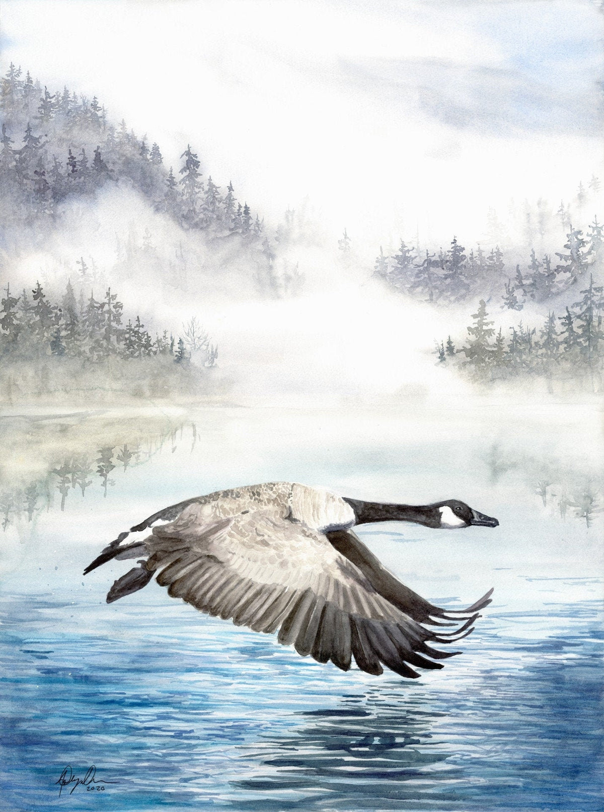 Canada Goose Flying Fine Art Watercolor Print by Ashley Nelson
