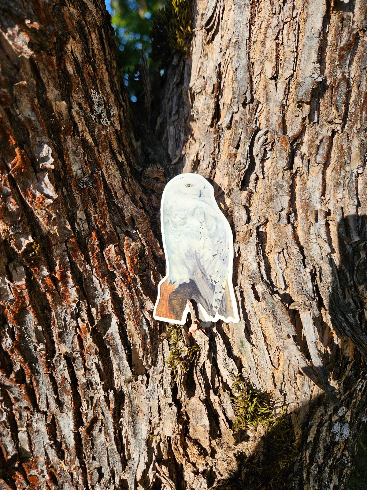Snowy Owl Vinyl Sticker by Ashley Nelson