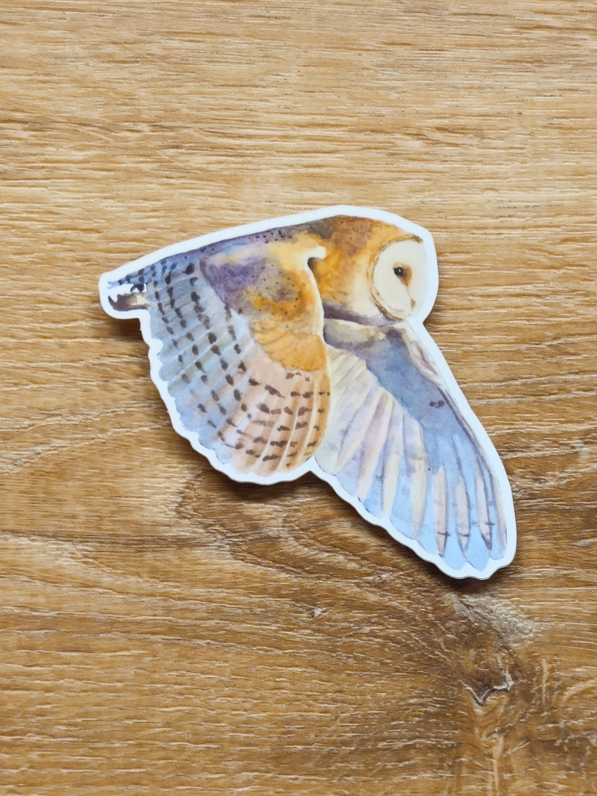 Flying Barn Owl Vinyl Sticker by Ashley Nelson