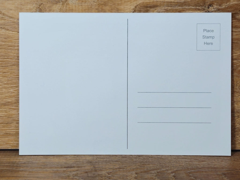 Fox Postcard Pack, fine art Postcards by Ashley Nelson