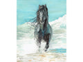 Black Horse on the Beach Fine Art Print