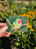 Hummingbird Vinyl Sticker by Ashley Nelson