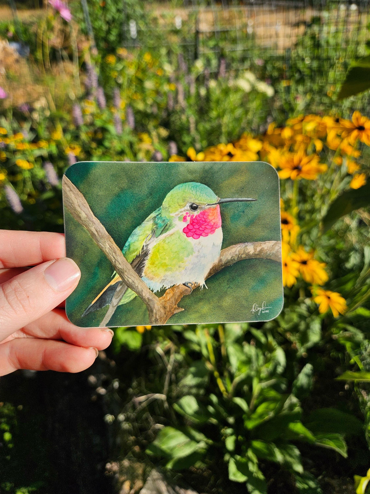 Hummingbird Vinyl Sticker by Ashley Nelson