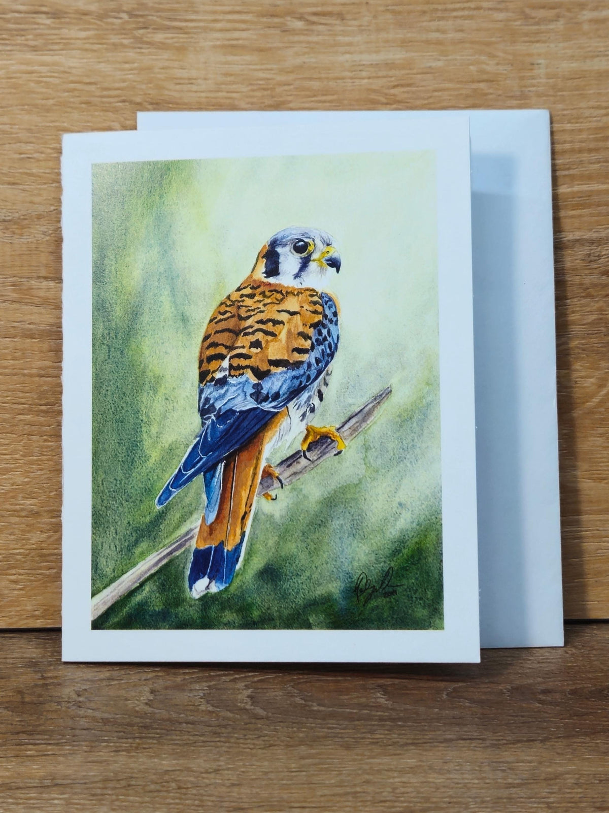 American Kestrel Greeting Card