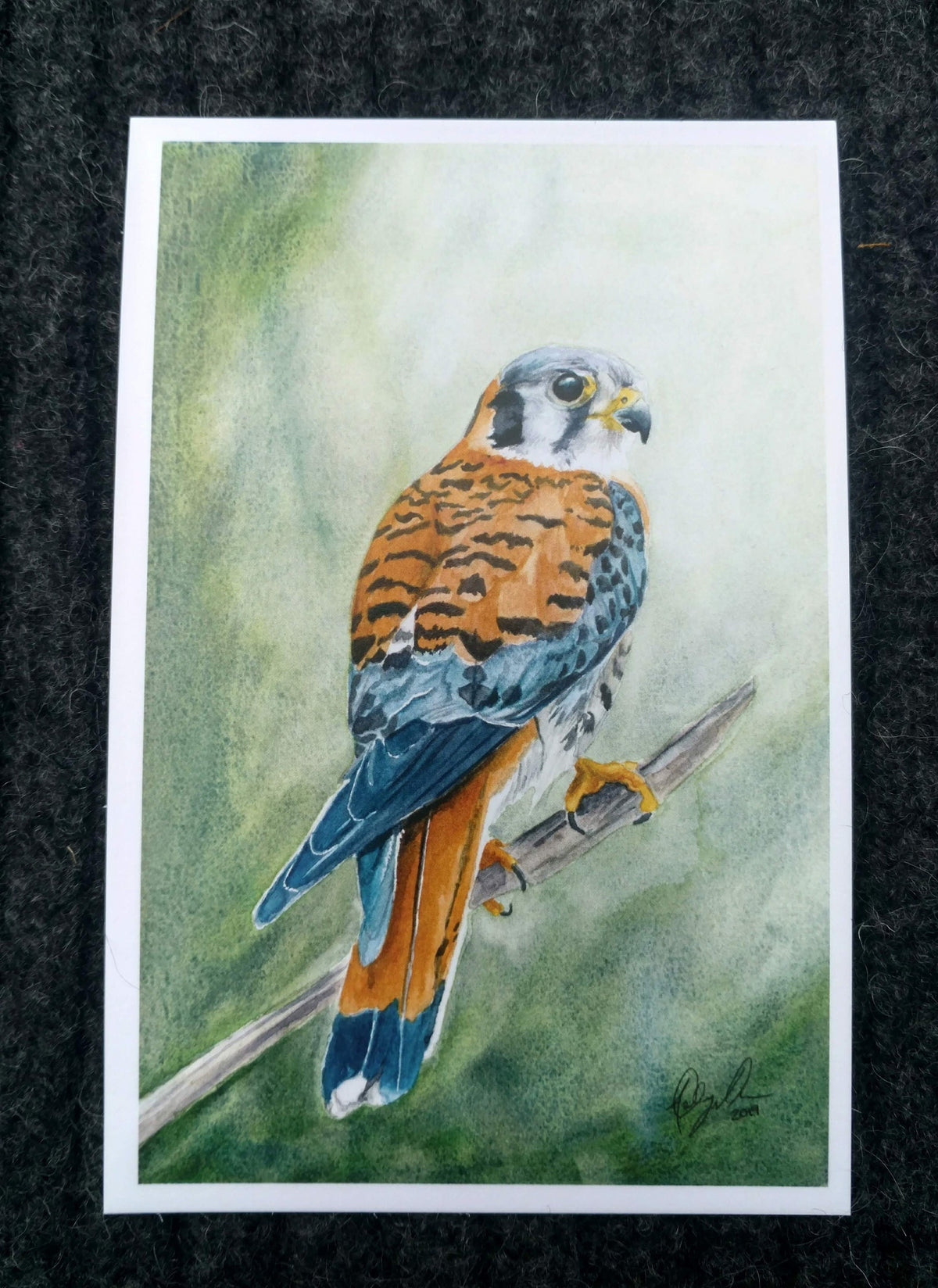 Birds of Prey Postcard Pack, fine art Postcards by Ashley Nelson