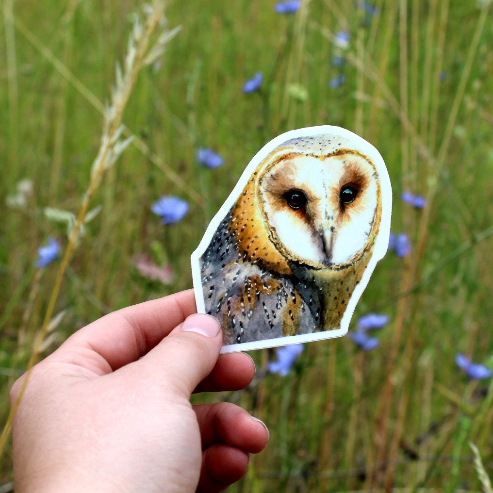 Barn Owl Vinyl Sticker by Ashley Nelson