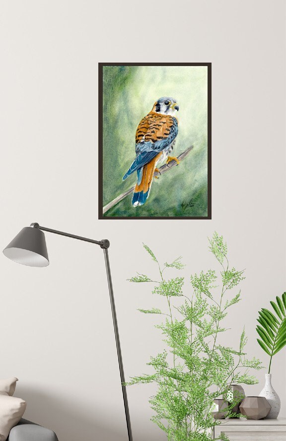 Kestrel Watercolor, Fine Art Watercolor Print by Ashley Nelson