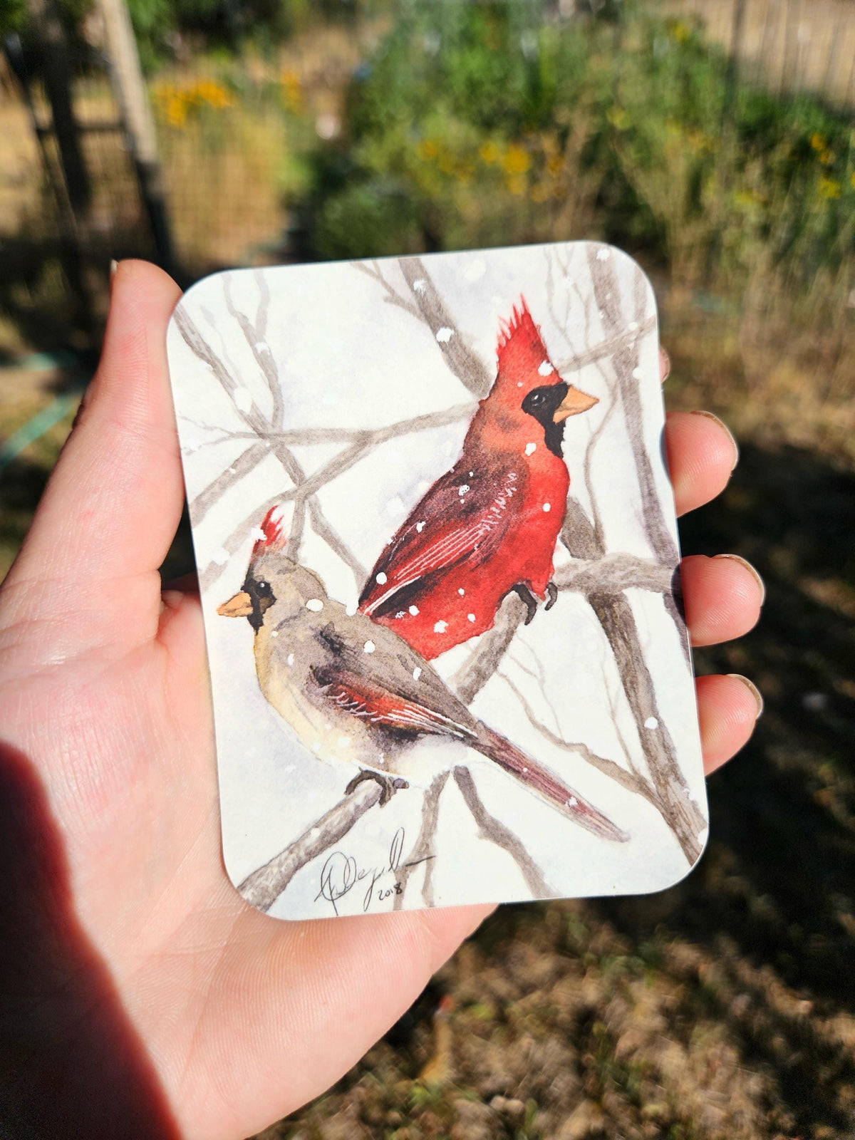 Cardinals Vinyl Sticker by Ashley Nelson