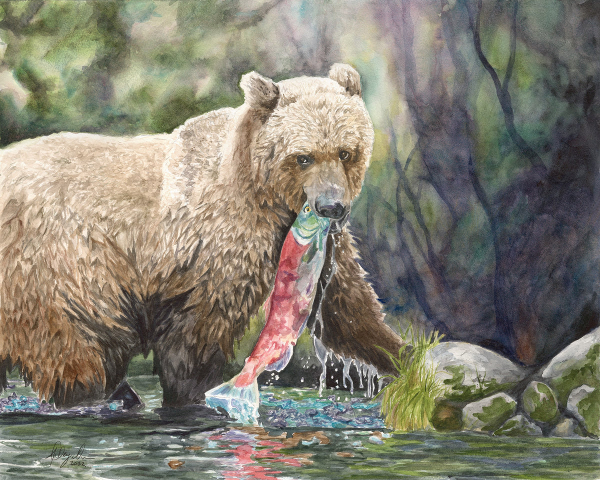Bear Catching Salmon Fine Art Print