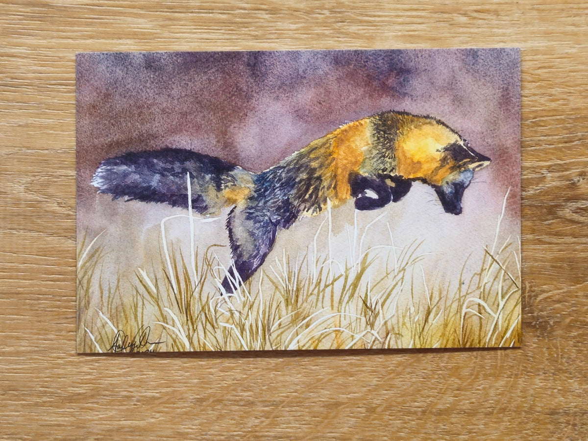 Fox Postcard Pack, fine art Postcards by Ashley Nelson