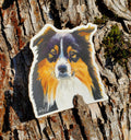 Australian Shepherd Vinyl Sticker by Ashley Nelson