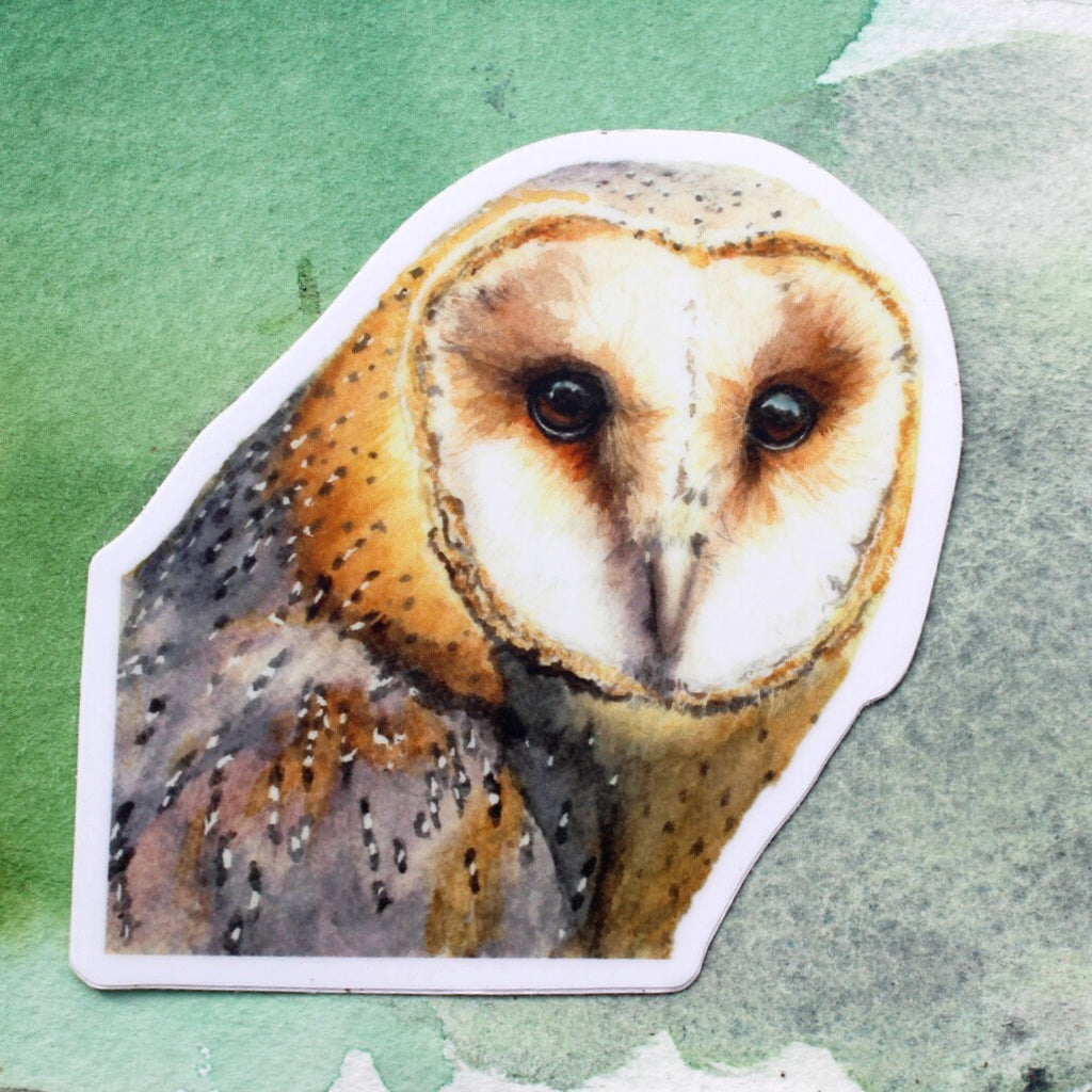 Barn Owl Vinyl Sticker by Ashley Nelson