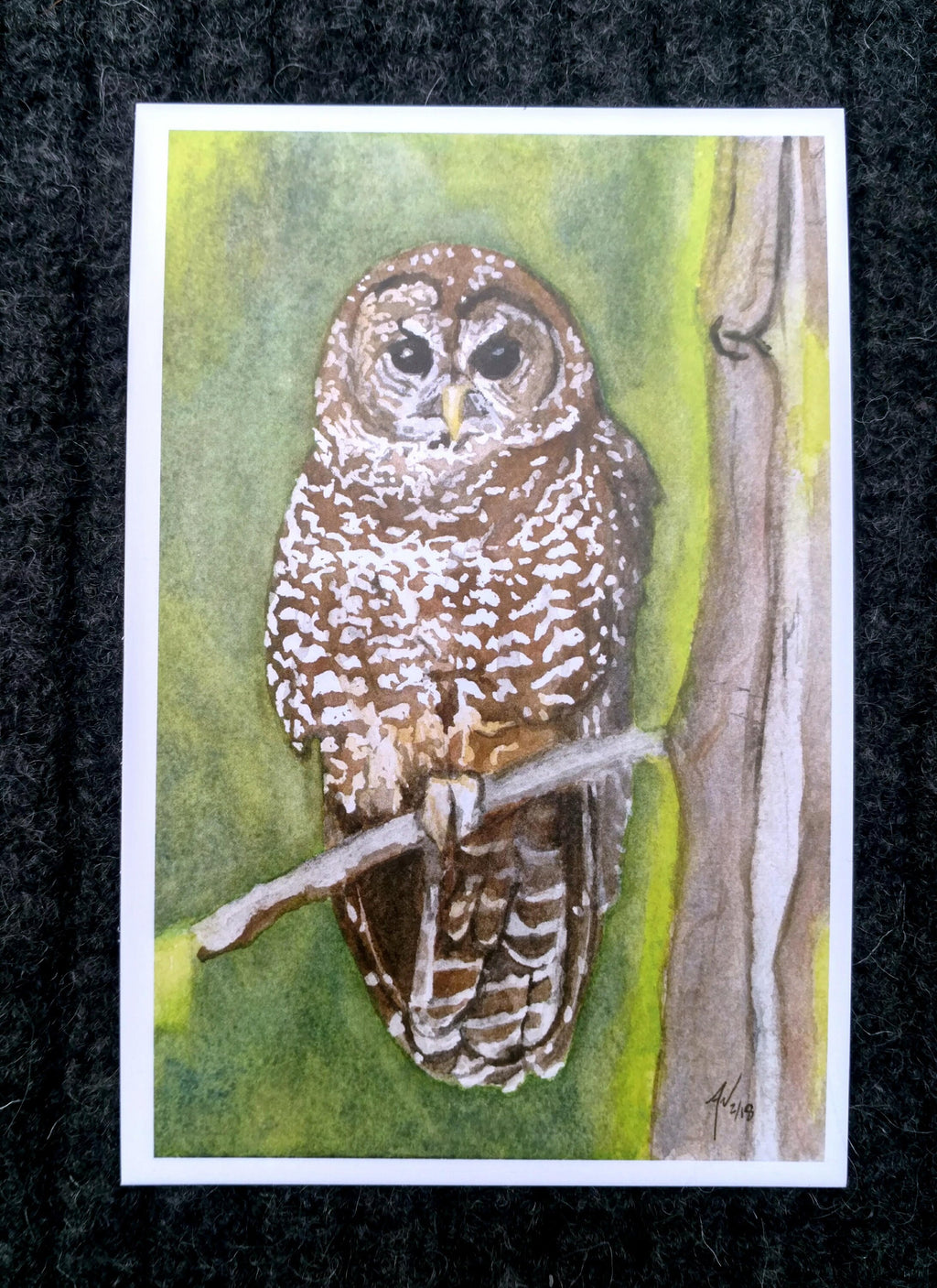 Birds of Prey Postcard Pack, fine art Postcards by Ashley Nelson