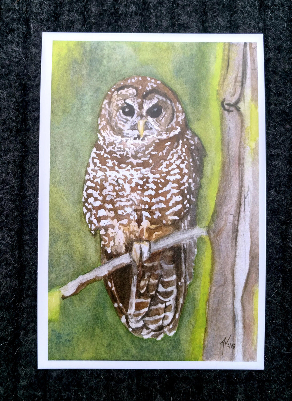 Birds of Prey Postcard Pack, fine art Postcards by Ashley Nelson