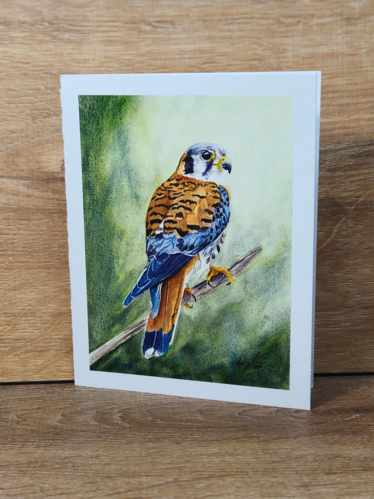 American Kestrel Greeting Card