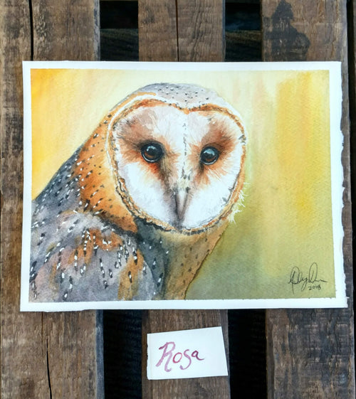Barn Owl Fine Art Watercolor Print by Ashley Nelson