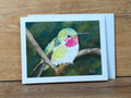 Hummingbird Greeting Card