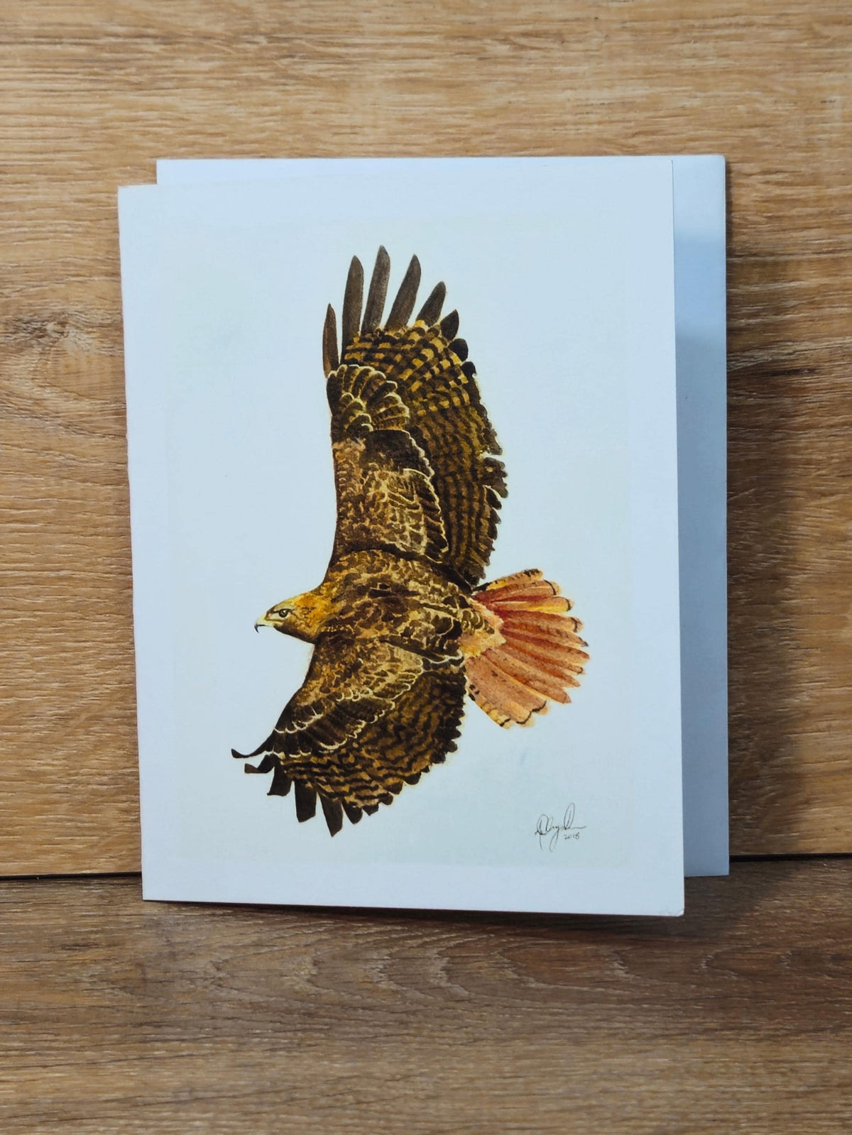 Red Tailed Hawk Greeting Card