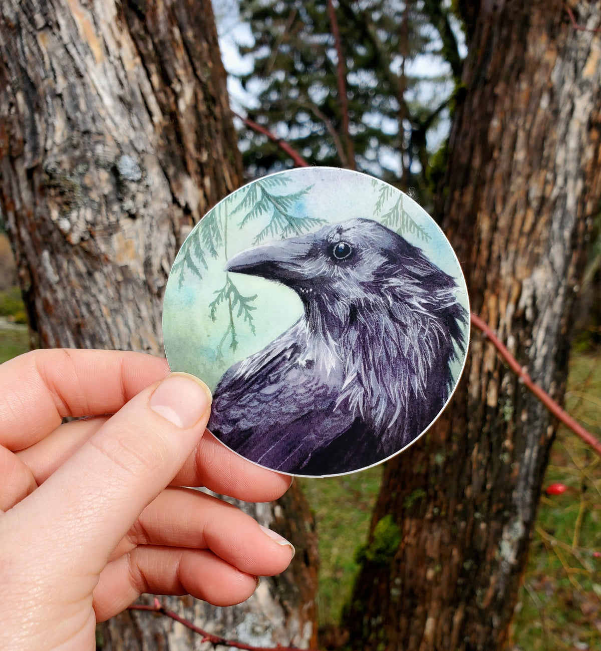 Raven Vinyl Sticker by Ashley Nelson